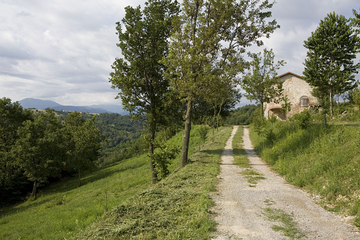 StudioRoatta_Ristrutturazione_LangheMonregalesi